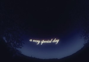 my-cosmic-valentine-a-very-special-day